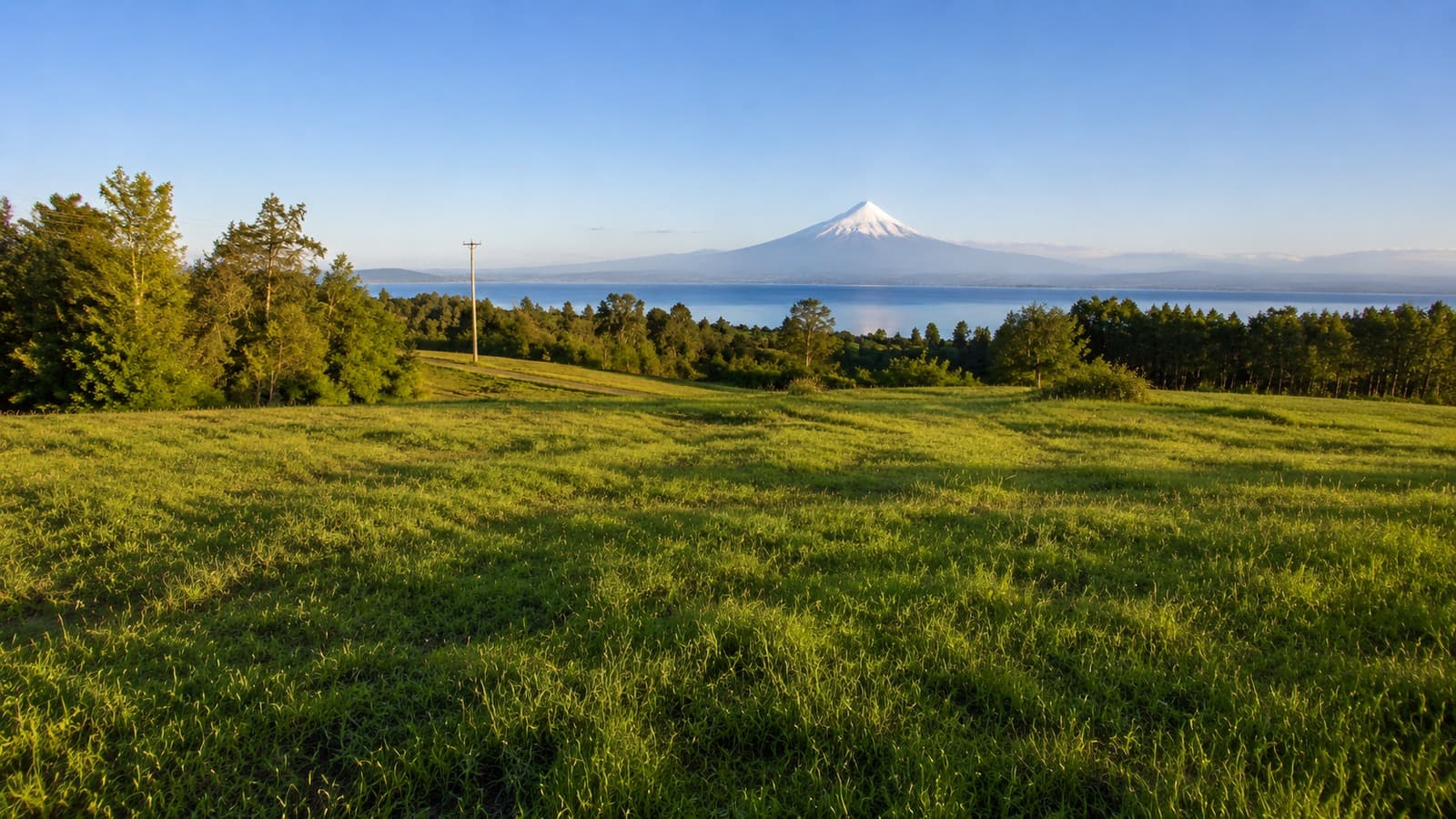 Parcela con Vista al Lago en Frutillar - imagen 2