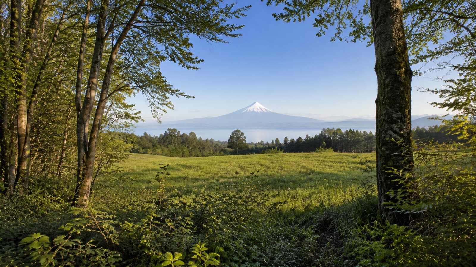 Parcela con Vista al Lago en Frutillar - imagen 3