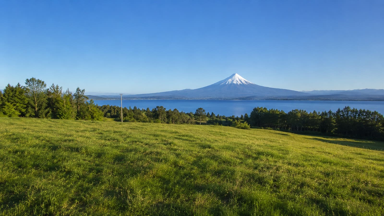 Parcela con Vista al Lago en Frutillar - imagen 5